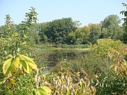 Western Michigan [2009] 367
